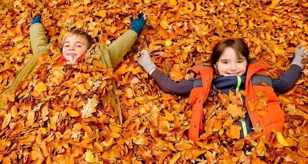 Когда в школах стартуют осенние каникулы и где в Украине их отменили