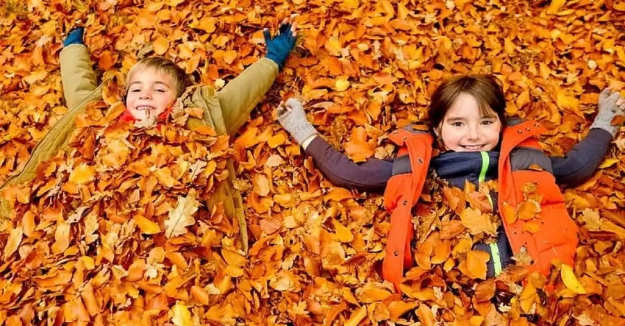 Когда в школах стартуют осенние каникулы и где в Украине их отменили