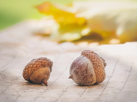 27 жовтня - День української писемності та мови, яке сьогодні церковне свято, прикмети та традиції