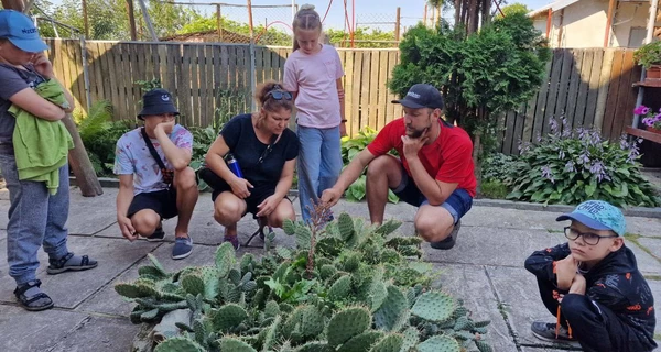 Оазис із тисячі кактусів: як біотехнолог з Житомирщини бореться зі стресом сам та допомагає іншим