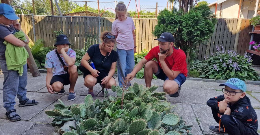 Оазис из тысячи кактусов: как биотехнолог с Житомирщины борется со стрессом сам и помогает другим