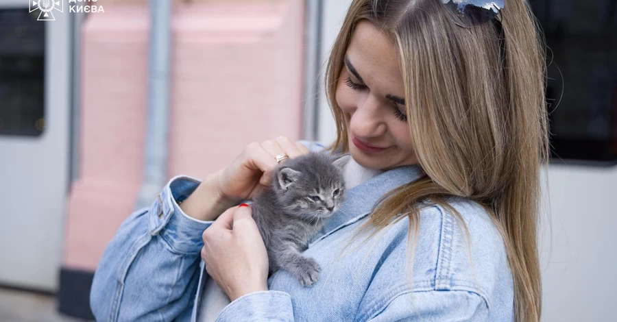 Котята, которых обнаружили после российской атаки на Киев, нашли семьи