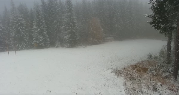 Буковель и соседние курорты покрыл снег, - соцсети