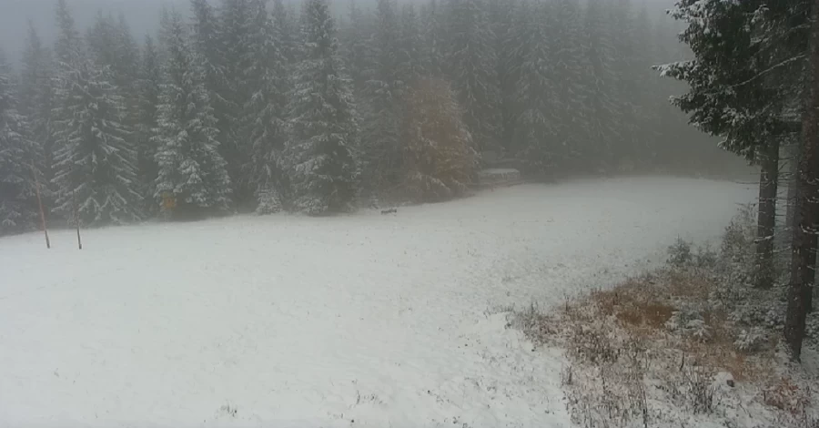 Буковель та сусідні курорти вкрило снігом, - соцмережі