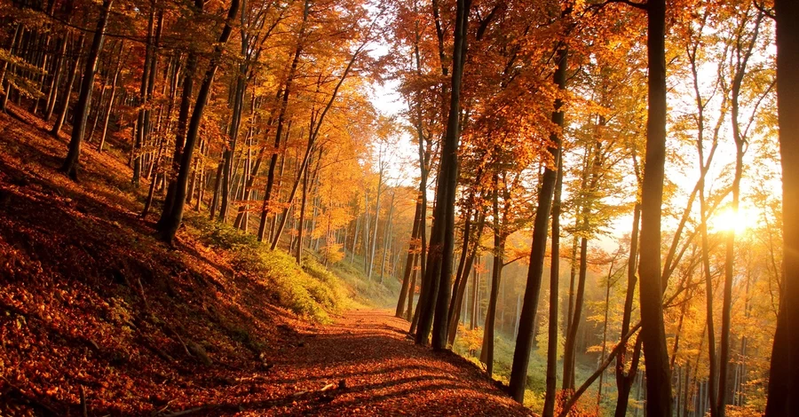 Погода в Украине 30 октября: на западе потеплеет до +18, но ночью возможны дожди