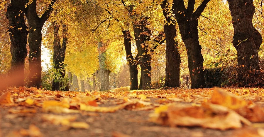 30 жовтня - яке сьогодні свято, що не можна робити, традиції та прикмети сьогодні, все про цей день