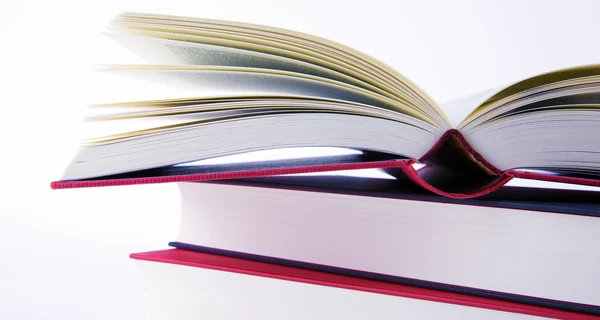 Коллин Гувер, Илларион Павлюк и Агата Кристи возглавили рейтинг продаж по программе 