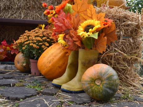 Что делать с тыквами после Хеллоуина: и вазу, и кашу, и корм для кроликов