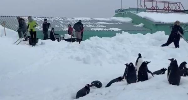 На украинской станции 