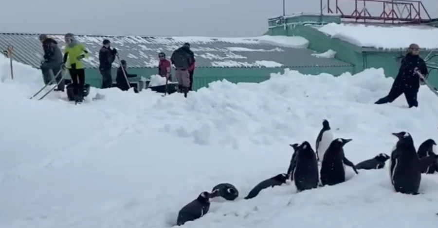 На украинской станции 