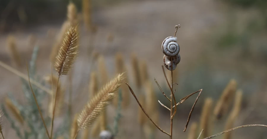2024 год стал самым теплым за последние 125 тысяч лет, - ученые