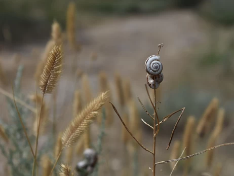 2024 рік став найтеплішим за останні 125 тисяч років, - вчені