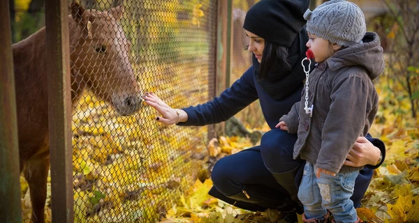 4 листопада - яке сьогодні церковне свято, традиції та прикмети цього дня, що не можна робити