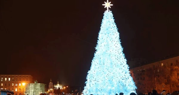 8 ноября начнут готовиться к установке новогодней елки на Софийской площади