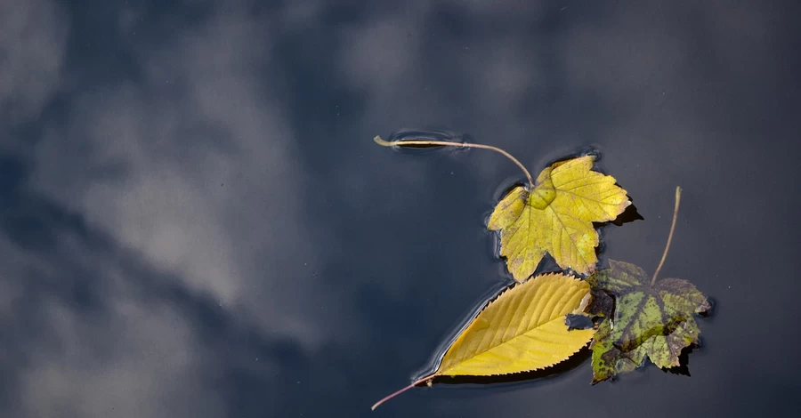 9 листопада - яке сьогодні свято, що не можна робити, традиції та прикмети