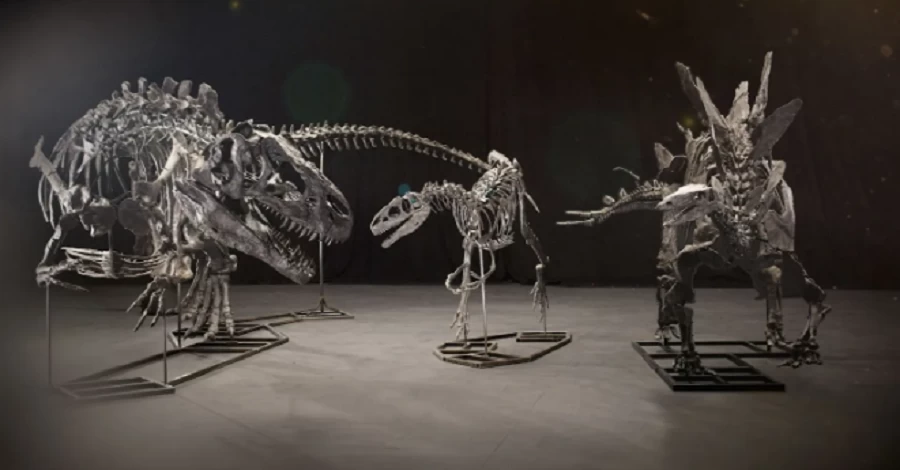 У Великій Британії у бізнесмена конфіскували кістки трьох динозаврів, яким сотні мільйонів років