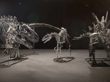 В Великобритании у бизнесмена конфисковали кости трех динозавров, которым сотни миллионов лет