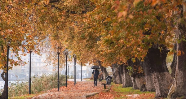 В пятницу в Украине будет до +14 градусов, но утром – туман