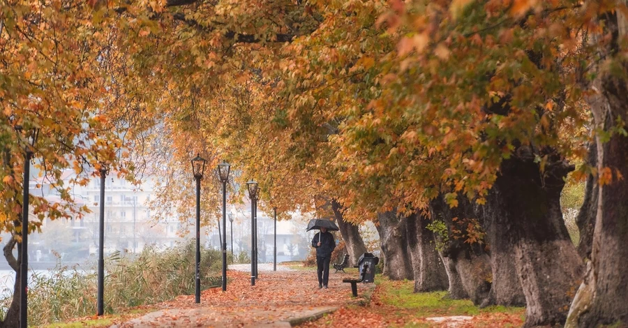 В пятницу в Украине будет до +14 градусов, но утром – туман
