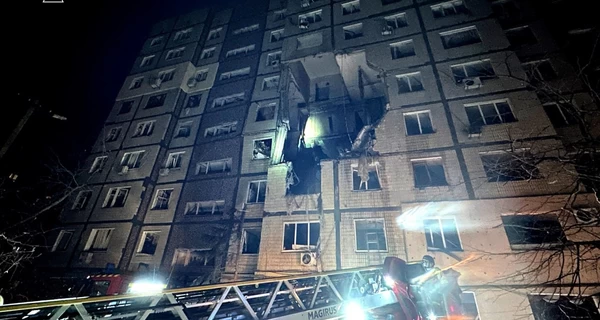 В Днепре спасли кошку, оказавшуюся под завалами разрушенной российским дроном многоэтажки