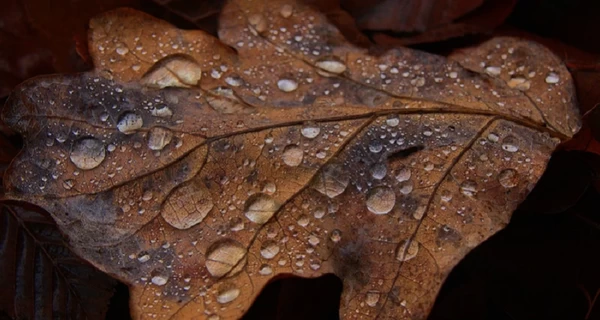Погода в Украине на выходные - туманно и облачно, но не холодно