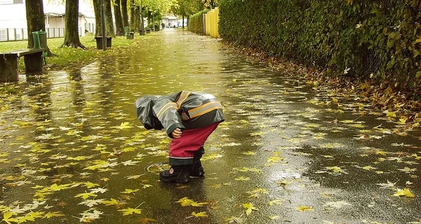 Ряд областей Украины 10 ноября накроют дожди