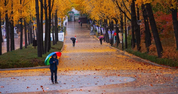 В Украину идет циклон Niksala – он несет дожди и похолодание