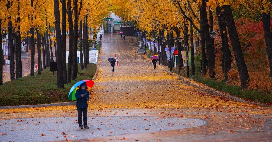 До України йде циклон Niksala  - він несе дощі та похолодання
