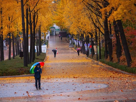 До України йде циклон Niksala  - він несе дощі та похолодання
