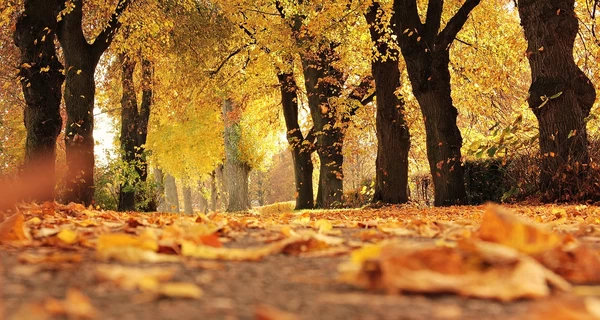 12 ноября - какой сегодня церковный праздник, что нельзя делать, традиции и приметы, что нельзя делать