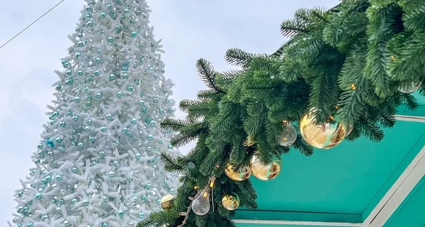 Без пафоса, но с символами уюта и покоя: что известно о главной елке страны