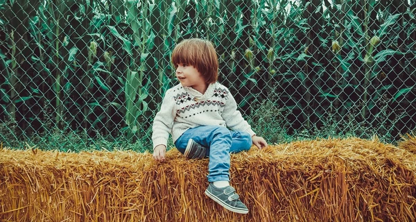 13 ноября – какой сегодня церковный праздник, традиции и приметы, что сегодня нельзя делать, все об этом дне