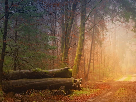 Погода в Україні 13 листопада - прояснення можливі лише на заході, на решті території - хмарно і дощі