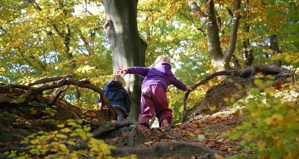 17 листопада - День студента, яке сьогодні церковне свято, прикмети цього дня