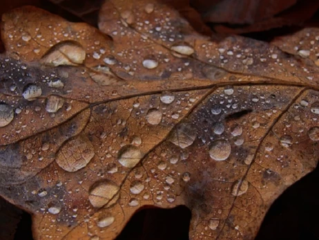 Погода в Україні 18 листопада: на заході прогнозують дощі, в Карпатах - з мокрим снігом