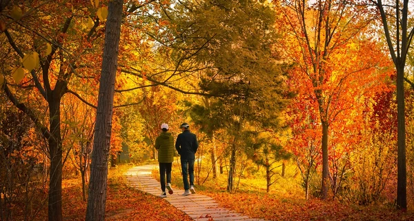 18 листопада - яке сьогодні свято, що не можна робити, традиції та звичаї цього дня