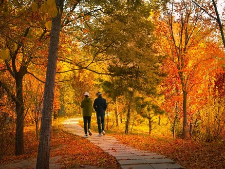 18 листопада - яке сьогодні свято, що не можна робити, традиції та звичаї цього дня