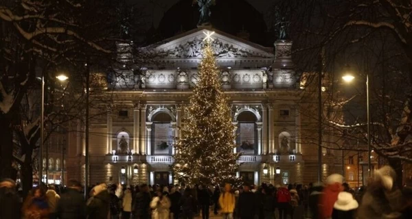 У Львові обирають головну новорічну ялинку - є 15 претенденток