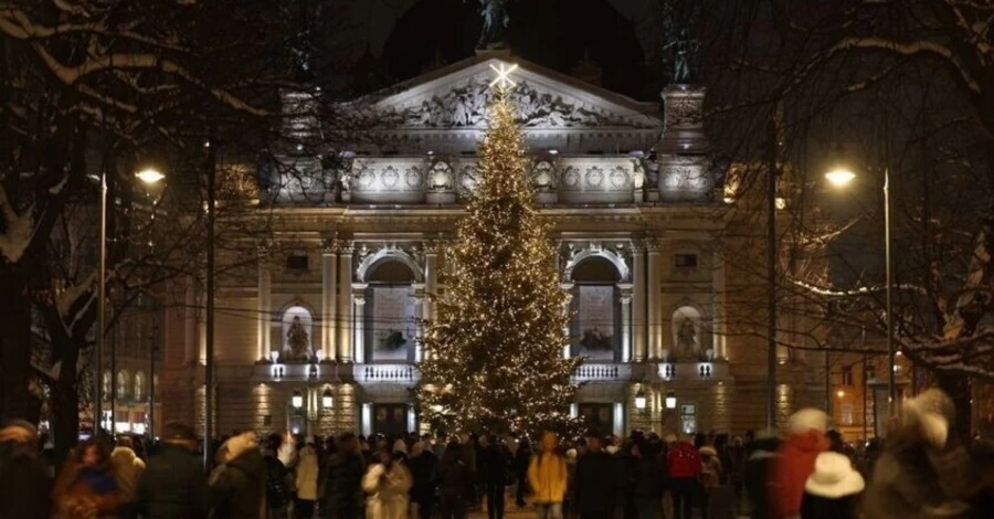 Во Львове выбирают главную новогоднюю елку - есть 15 претенденток