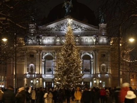 Во Львове выбирают главную новогоднюю елку - есть 15 претенденток