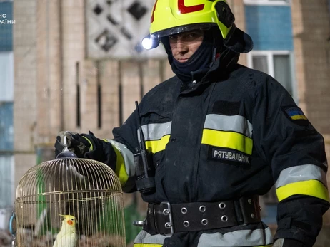 В Тернополе из-под руин разрушенного российским ударом дома спасли попугая