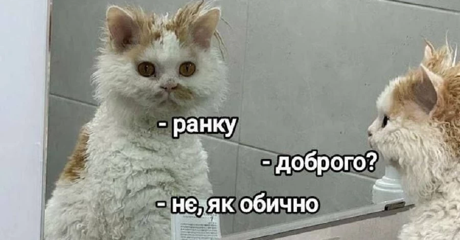 Анекдоты и мемы недели: В Украине введен шапочный режим – потому что темно и холодно