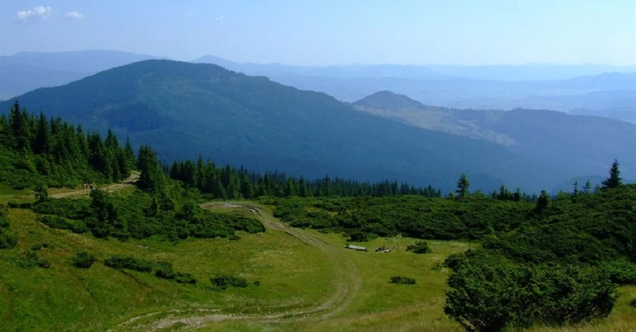 Вперше приватну ділянку в Карпатах передали у державну власність
