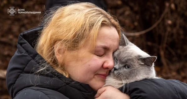 У Тернополі серед руїн багатоповерхівки знайшли кішку