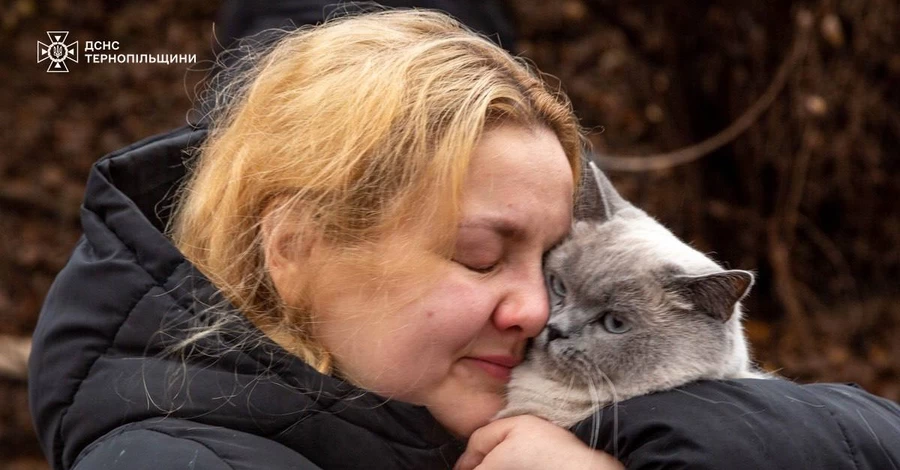 В Тернополе среди руин многоэтажки нашли кошку