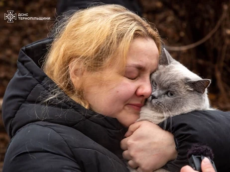 В Тернополе среди руин многоэтажки нашли кошку