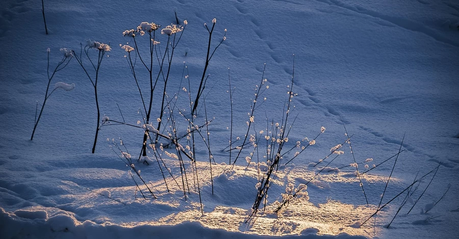 Жителей западной Украины предупредили о непогоде и объявили штормовое предупреждение