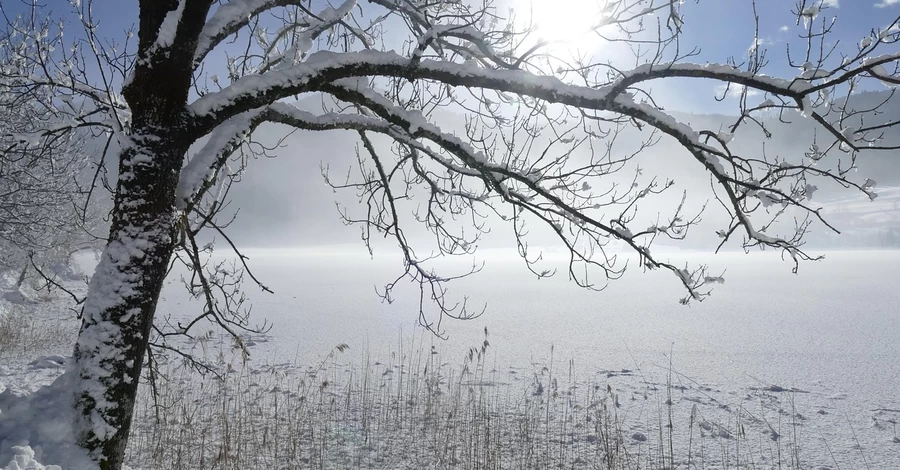 Погода в Україні 23 листопада: низку областей накриє мокрий сніг