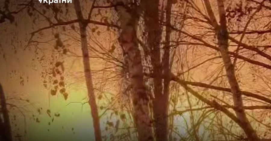 ВСУ поразили Саратовский НПЗ и место хранения БпЛА на аэродроме 