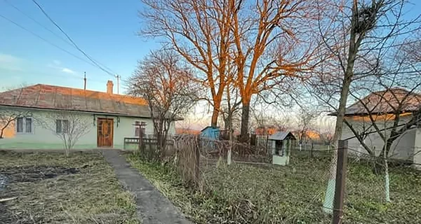 «Спускаемся на землю»: почему украинцы массово переселяются из городов в села